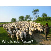 Who Is Your Pastor